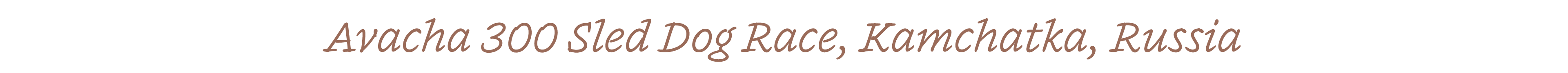 Avacha 300 Sled Dog Race, Kamchatka, Russia