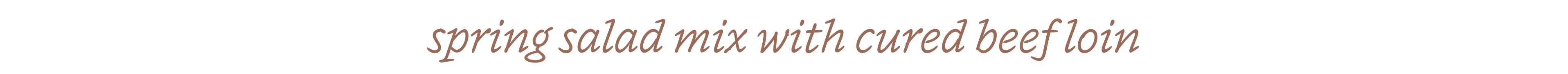 spring salad mix with cured beef loin